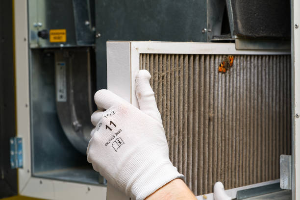 Best Duct Cleaning for Offices  in Naranja, FL